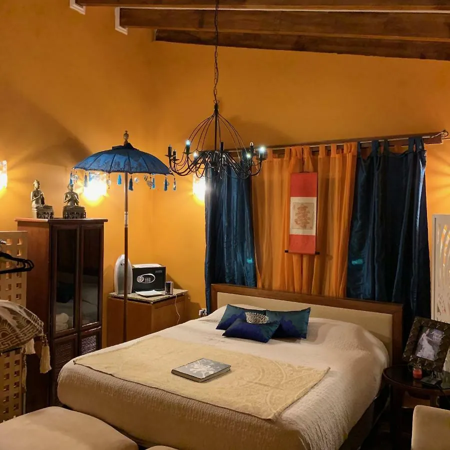 Homestay House Of Mosaic Villa Aruba Oranjestad